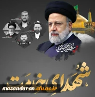 شهدای خدمت 2