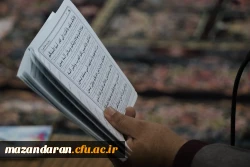 مراسم هفتگی زیارت عاشورا  2