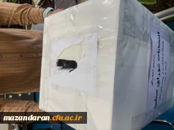 انتخابات شورای صنفی دانشجو معلمان مرکز آموزش عالی شهید رجایی بابل 5