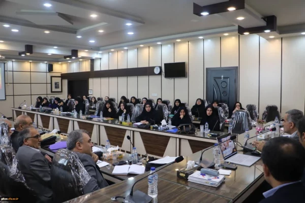 برگزاری دوره آموزشی ارزیابان فرآیند ارزیابی تکمیلی داوطلبان ورود به خدمت (1403)  در منطقه دو کشور 6