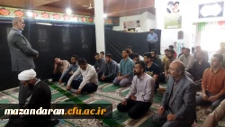 جلسه شورای اداری دانشگاه فرهنگیان مازندران 5