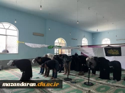 روز دهم اجرای اریابی تکمیلی داوطلبان ورود به دانشگاه فرهنگیان  ویژه دختران در پردیس فاطمه الزهرا س ساری 16