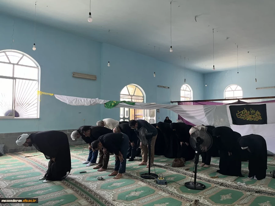 روز دهم اجرای اریابی تکمیلی داوطلبان ورود به دانشگاه فرهنگیان  ویژه دختران در پردیس فاطمه الزهرا س ساری 16