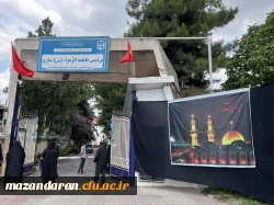 روز یازدهم اجرای ارزیابی تکمیلی داوطلبان ورود به دانشگاه فرهنگیان ویژه دختران در پردیس فاطمه الزهرا س ساری  7