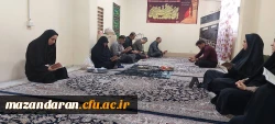 برگزاری قرائت روزانه زیارت عاشورا  2