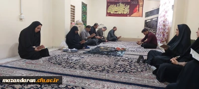 برگزاری قرائت روزانه زیارت عاشورا 
