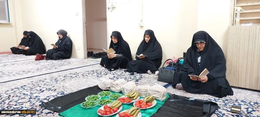 برگزاری قرائت روزانه زیارت عاشورا  7