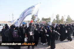 حضور دانشجو معلمان پردیس فاطمه الزهرا س ساری در پیاده روی اربعین  5