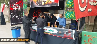 برپایی موکب جاماندگان اربعین