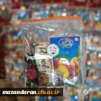 برگزاری جشن میلاد نبی مکرم اسلام حضرت محمد (ص) و امام صادق (ع) گروه جهادی ایثار در مدرسه زینبیه روستای قرق 5