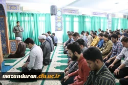 آیین تکریم از  شهدای مقاومت، سید حسن نصرالله 4