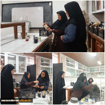 بررسی وضعیت آزمایشگاه

گزارش تصویری بررسی وضعیت آزمایشگاه