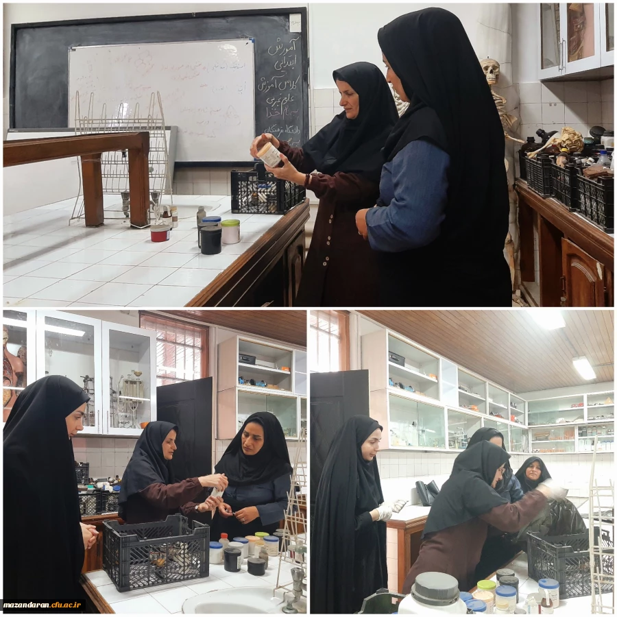 گزارش تصویری بررسی وضعیت آزمایشگاه 2