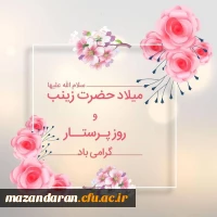 گرامی داشت ولادت حضرت زینب (س) و روز پرستار 2