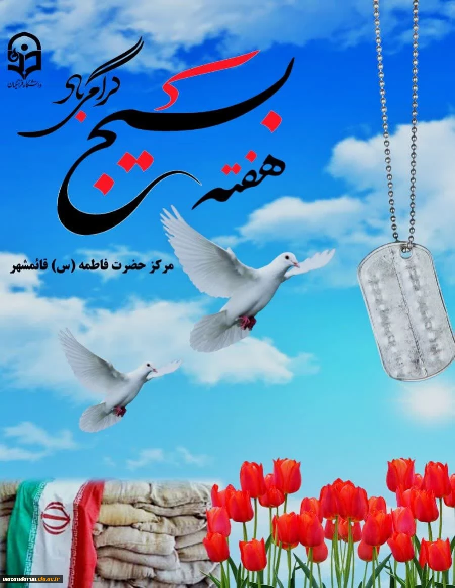 آغاز هفته بسیج 2