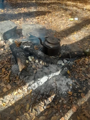 اردو تفریحی دانشجویی 6