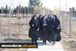 گزارش تصویری جشنواره اقوام دانشجومعلمان دانشگاه فرهنگیان در مازندران 6