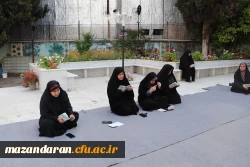 برگزاری مراسم قرائت دعای توسل

 2