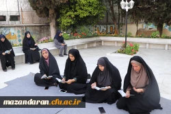 برگزاری مراسم قرائت دعای توسل

 3