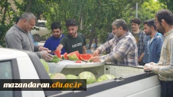 برگزاری مسابقات دارت و طناب کشی به مناسبت هفته سراهای دانشجویی
 9