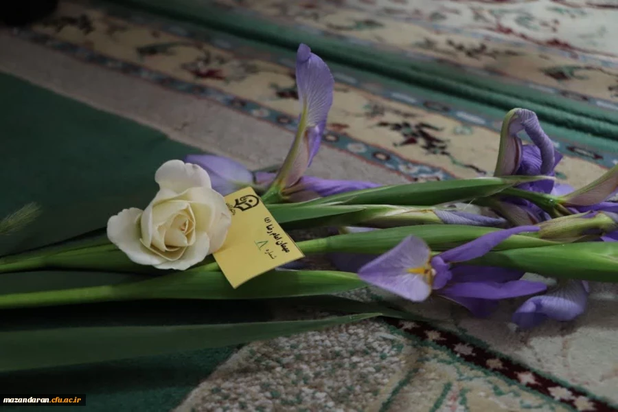 زیارت پرچم متبرک حرم مطهر رضوی 3