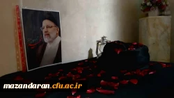 photo_2025-06-07_12-34-21