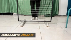 برگزاری آزمون عملی ارزیابی تکمیلی متقاضیان دختر رشته تربیت بدنی در دانشگاه فرهنگیان مازندران 5