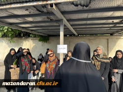 برگزاری آزمون عملی ارزیابی تکمیلی متقاضیان دختر رشته تربیت بدنی در دانشگاه فرهنگیان مازندران 7