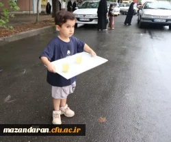 موکب پذیرایی در مسیر پیاده روی جاماندگان اربعین حسینی 4