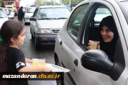 موکب پذیرایی در مسیر پیاده روی جاماندگان اربعین حسینی 6