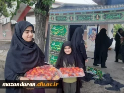 موکب پذیرایی در مسیر پیاده روی جاماندگان اربعین حسینی 7