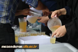 موکب پذیرایی در مسیر پیاده روی جاماندگان اربعین حسینی 8