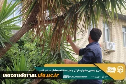 همراهی و کوشش بی وقفه کارکنان دانشگاه فرهنگیان مازندران 
 4