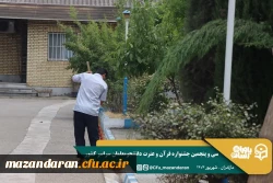 همراهی و کوشش بی وقفه کارکنان دانشگاه فرهنگیان مازندران 
 5