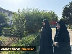 بازدید میدانی از فضای پردیس در آستانه آغاز سال تحصیلی جدید 5