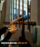 جشن میلاد فرخندهٔ امام حسن عسکری (ع)
 در فضای دانشجویی  2