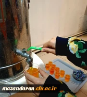 جشن میلاد فرخندهٔ امام حسن عسکری (ع)
 در فضای دانشجویی  2