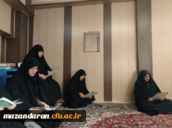 قرائت  زیارت عاشورا در چهارشنبه های عاشورایی 3