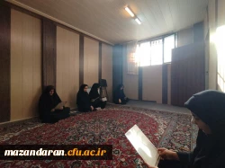 قرائت  زیارت عاشورا در چهارشنبه های عاشورایی 4