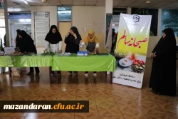 برگزاری میز صبحانه سالم  مرکز حضرت فاطمه(س)قائمشهر
 2