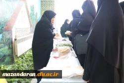 برگزاری میز صبحانه سالم  مرکز حضرت فاطمه(س)قائمشهر
 2