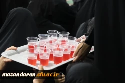 جشن میلاد حضرت زینب (س)، بانوی روشنی و شجاعت 2