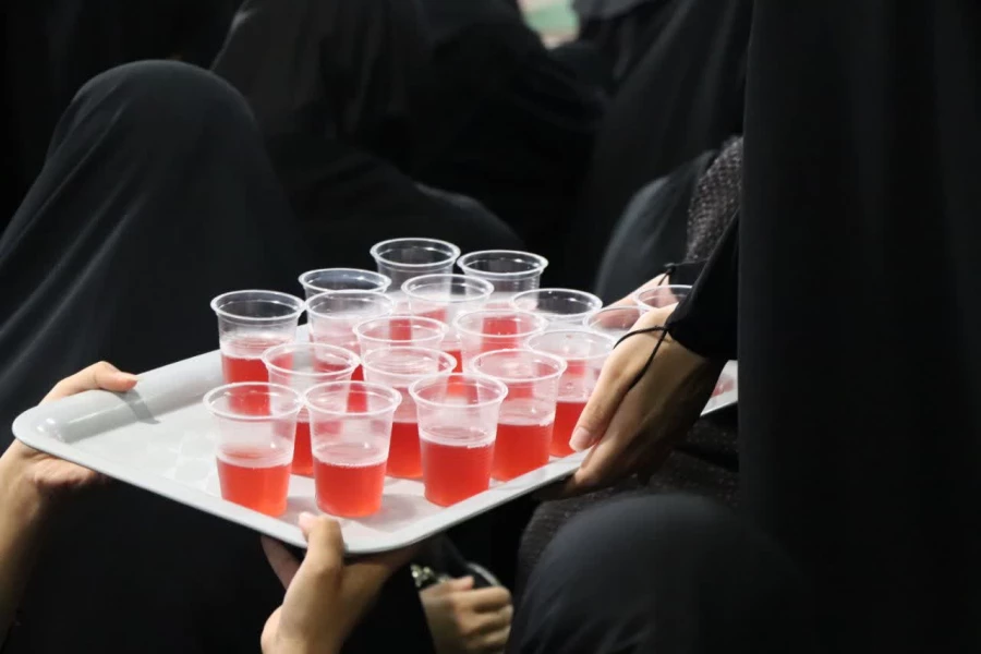 جشن میلاد حضرت زینب (س)، بانوی روشنی و شجاعت 2