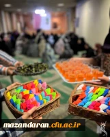 جشن شب میلاد حضرت زینب کبری (س) 
شبی از جنسِ نور و نغمه  2