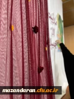 جشن شب میلاد حضرت زینب کبری (س) 
شبی از جنسِ نور و نغمه  2