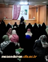 جشن شب میلاد حضرت زینب کبری (س) 
شبی از جنسِ نور و نغمه  2