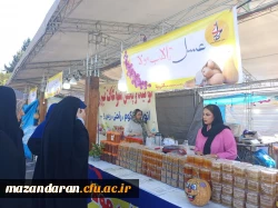 بازدید دانشجو معلمان از جشنواره بومی کئی پلا 5