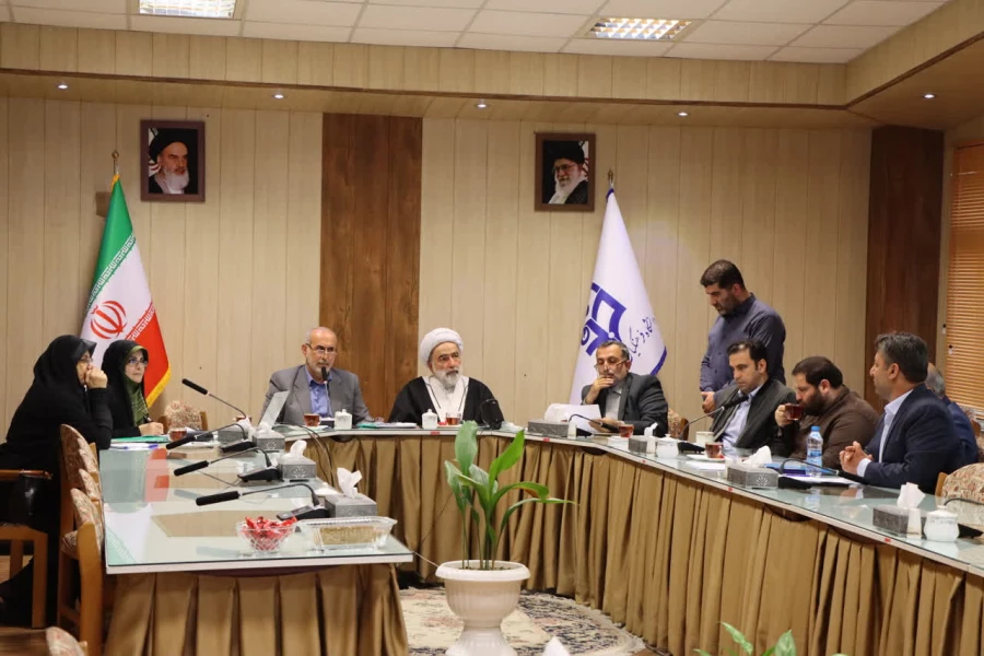 برگزاری جلسه کارگروه تخصصی منابع انسانی دانشگاه فرهنگیان مازندران
 3