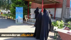 نمایشگاه صنایع دستی، نان و شیرینی بومی و ترشیجات مازندران 5