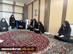 چهارشنبه های عاشورایی قرائت زیارت عاشورا  3